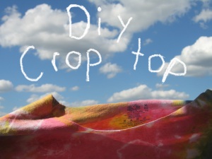 diy crop top logo